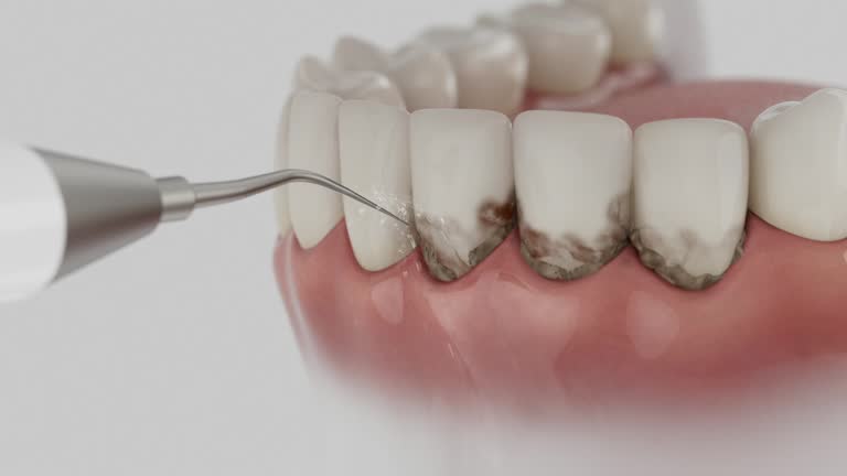 Reliable Dental contractor in Encantada-Ranchito-El Calaboz, TX by Dentist Open Now